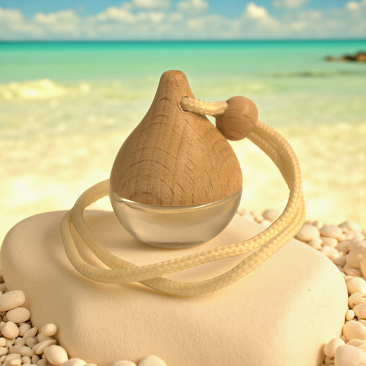 Car Diffuser Sea Minerals